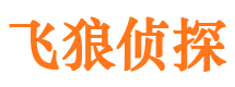 武鸣市场调查